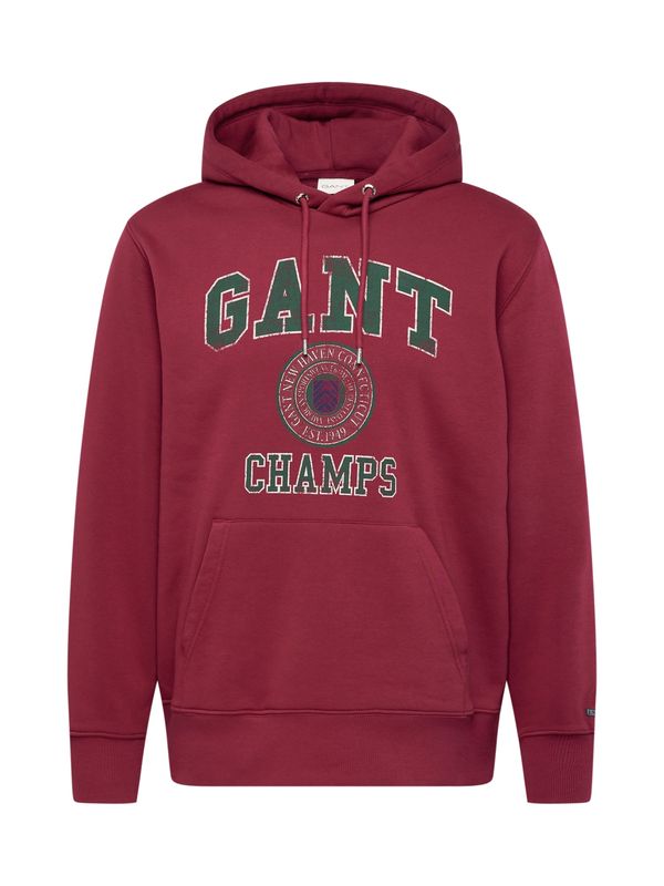 GANT GANT Majica  temno zelena / burgund / bela