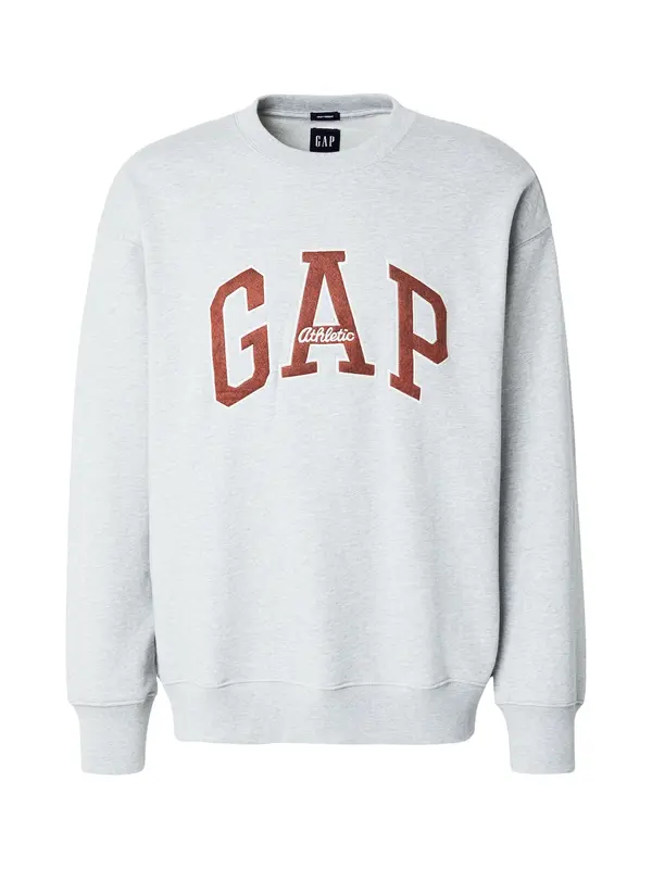 GAP GAP Majica  čokolada / svetlo siva / bela