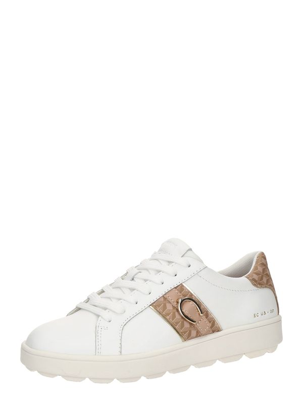 GEOX GEOX Nizke superge 'SPHERICA ECUB-1'  temno bež / svetlo rjava / bela