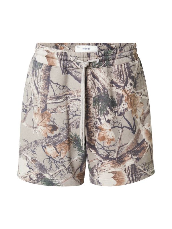 HOLLISTER HOLLISTER Hlače  rjava / siva / oliva / temno zelena