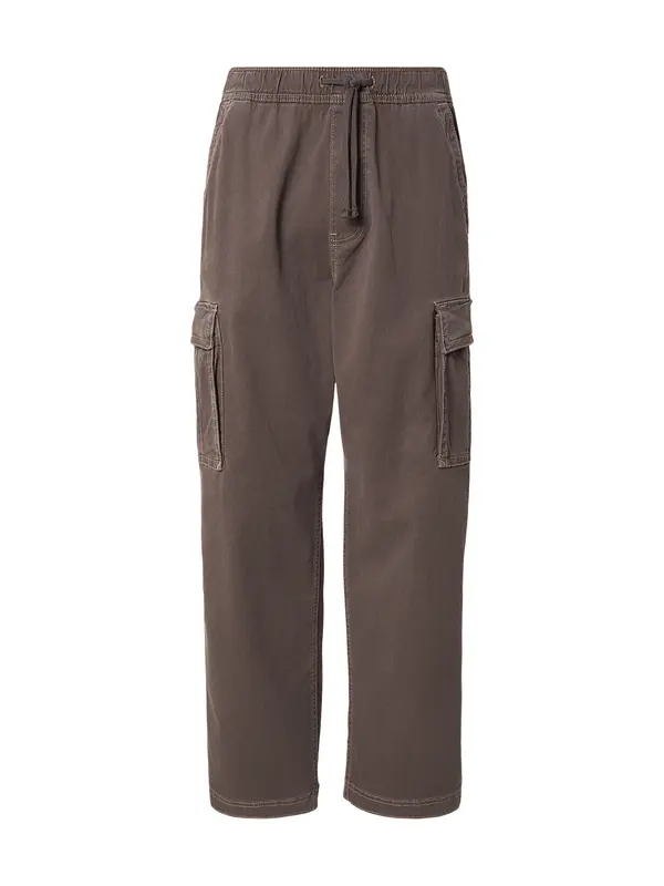 HOLLISTER HOLLISTER Kargo hlače  rjava