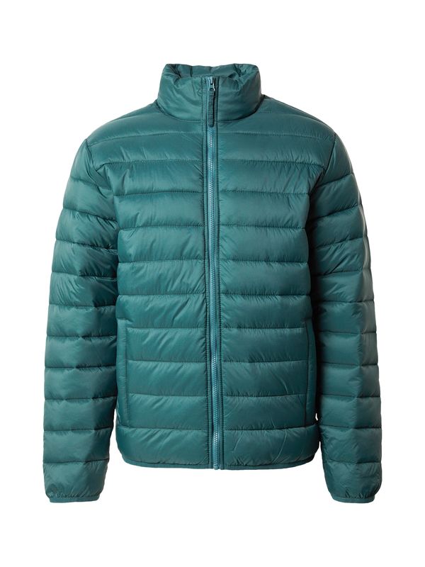 HOLLISTER HOLLISTER Zimska jakna  smaragd