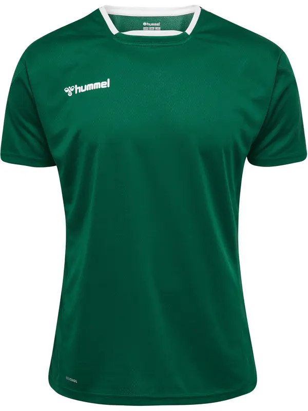 Hummel Hummel Funkcionalna majica 'Authentic'  zelena / temno zelena