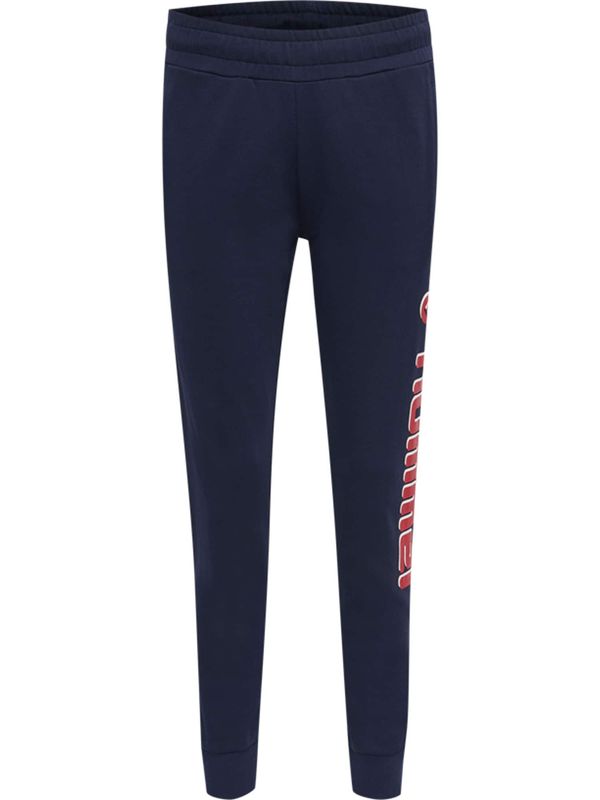 Hummel Hummel Športne hlače 'IC KIM'  marine / rdeča / bela