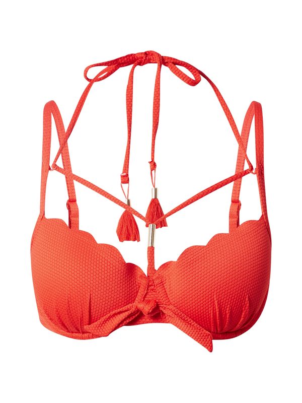 Hunkemöller Hunkemöller Bikini zgornji del 'Scallop'  rdeča