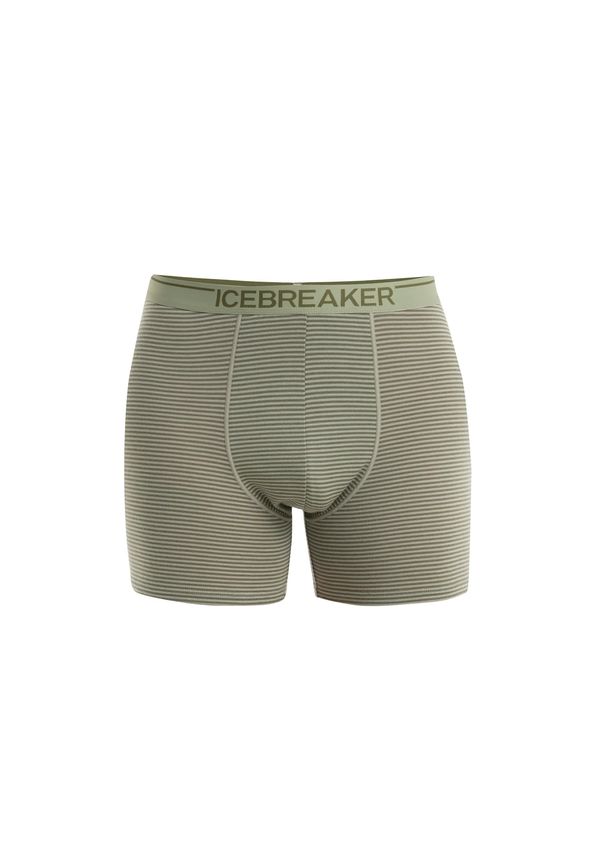 ICEBREAKER ICEBREAKER Boksarice 'Anatomica'  zelena / svetlo zelena