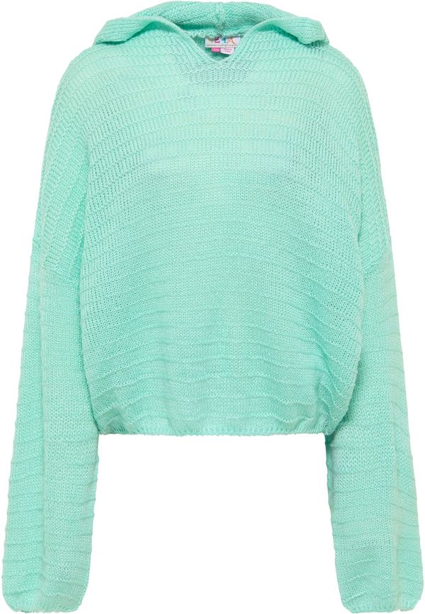 IZIA IZIA Pulover  voda