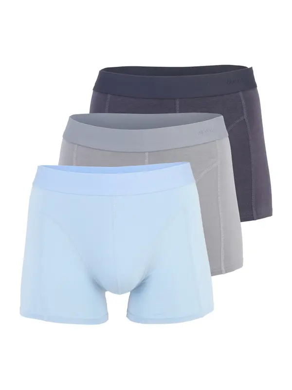 JACK & JONES JACK & JONES Boksarice 'JACGOBS'  mornarska / svetlo modra / siva
