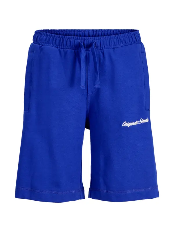 Jack & Jones Junior Jack & Jones Junior Hlače 'JPSTKARL NORREBRO'  modra / bela