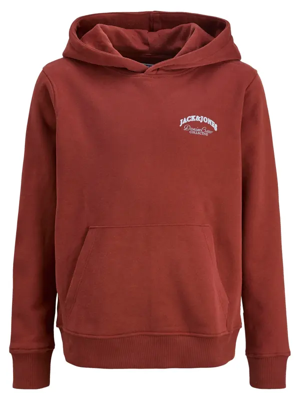 Jack & Jones Junior Jack & Jones Junior Majica 'Brandes'  svetlo modra / rdeča