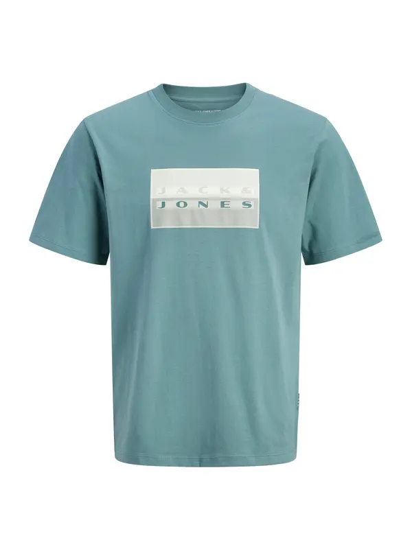 Jack & Jones Junior Jack & Jones Junior Majica 'JCOFUSION DOTS'  svetlo siva / smaragd