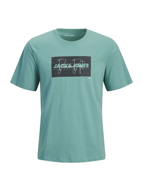 Jack & Jones Junior Jack & Jones Junior Majica 'JJCOLE'  smaragd / črna / bela