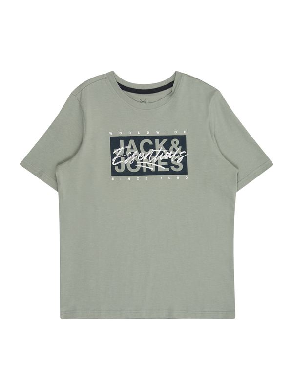 Jack & Jones Junior Jack & Jones Junior Majica 'JJCOLTON'  pastelno zelena / črna / bela