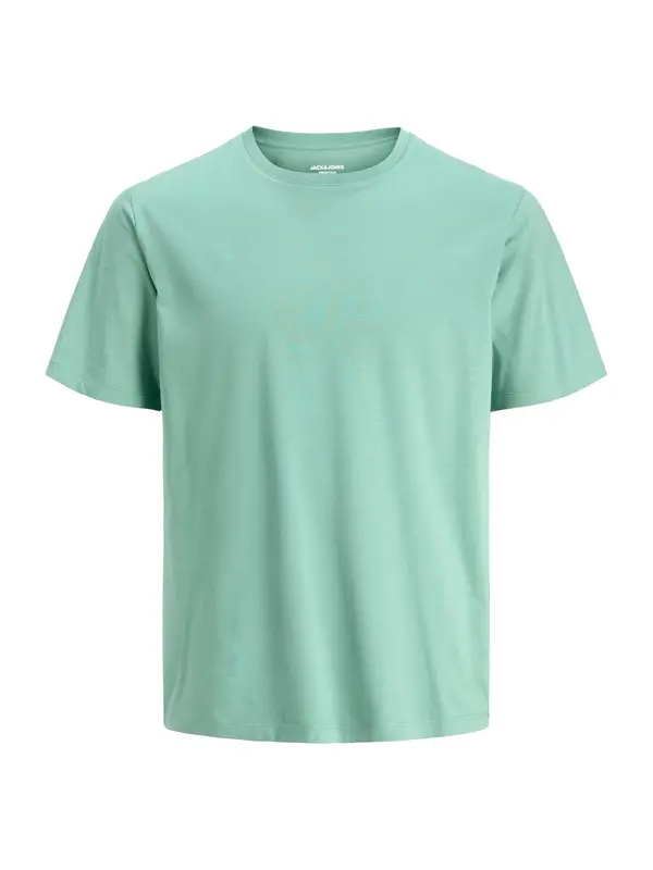 Jack & Jones Junior Jack & Jones Junior Majica 'JJEORGANIC'  turkizna