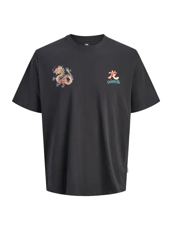 Jack & Jones Junior Jack & Jones Junior Majica 'JORBig Japan'  svetlo modra / svetlo zelena / oranžna / črna