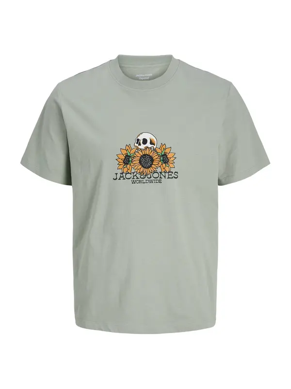 Jack & Jones Junior Jack & Jones Junior Majica 'JORCatskills'  pastelno zelena / oranžna / črna / bela
