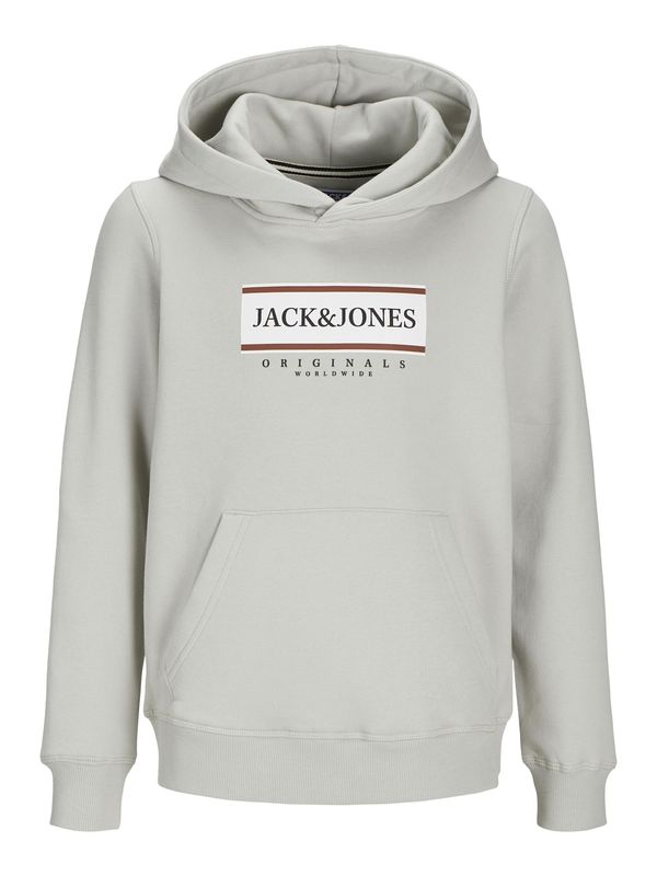 Jack & Jones Junior Jack & Jones Junior Majica 'JORFREDERIKSBERG'  siva / rdeča / bela