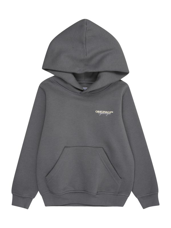 Jack & Jones Junior Jack & Jones Junior Majica 'JORISLINGTON'  siva / svetlo siva / bela