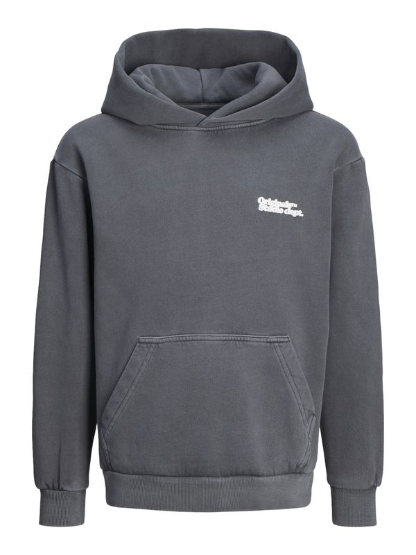 Jack & Jones Junior Jack & Jones Junior Majica 'JORVERMONT'  temno siva / bela