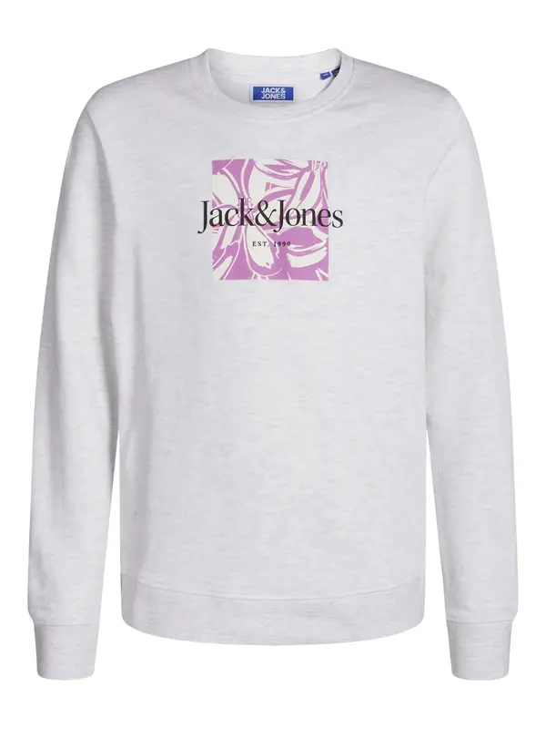 Jack & Jones Junior Jack & Jones Junior Majica 'Lafayette'  svetlo bež / pegasto siva / svetlo lila / črna