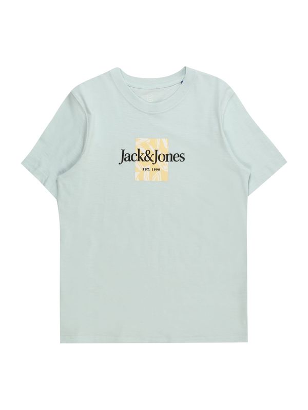 Jack & Jones Junior Jack & Jones Junior Majica 'Lafayette'  svetlo modra / breskev / bela