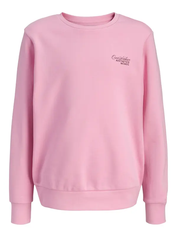 Jack & Jones Junior Jack & Jones Junior Majica 'Roar'  rosé / črna