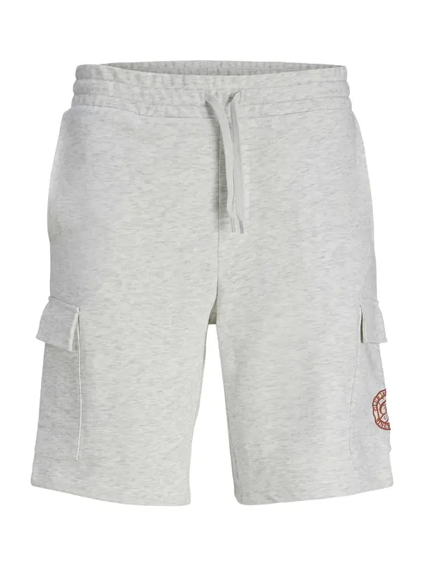 JACK & JONES JACK & JONES Kargo hlače 'JPSTGordon Alliance'  rjava / pegasto bela