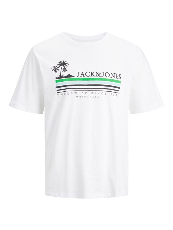 JACK & JONES JACK & JONES Majica 'Cody'  opal / zelena / črna / bela