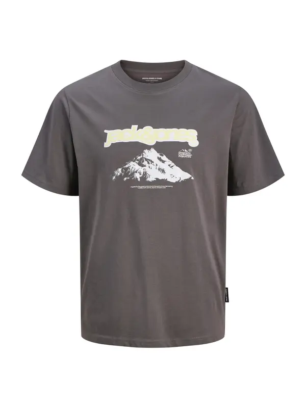 JACK & JONES JACK & JONES Majica 'JCOFLARE'  svetlo rumena / temno siva / bela
