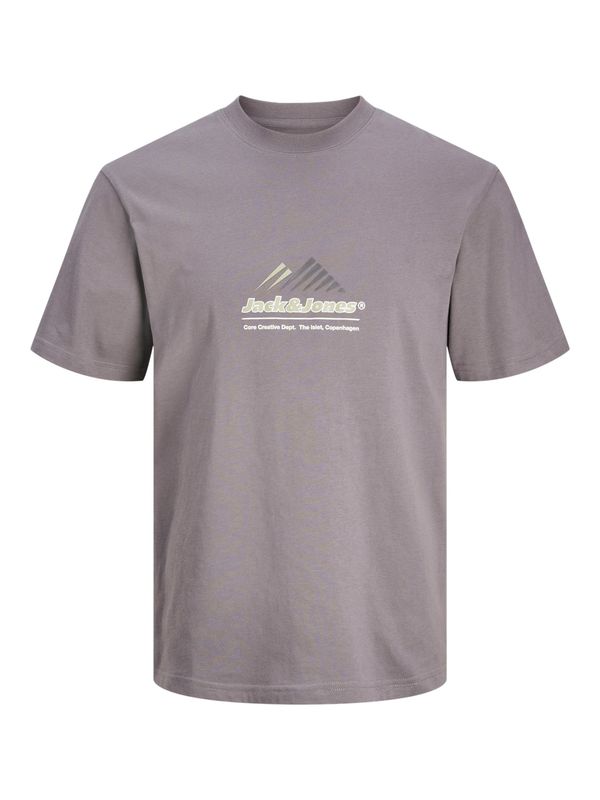 JACK & JONES JACK & JONES Majica 'JCOLIMA'  bež / siva / lila / bela