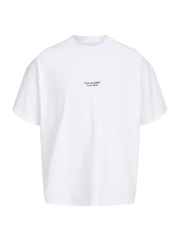 JACK & JONES JACK & JONES Majica 'JCOSOLANA'  majnica / sivka / črna / bela