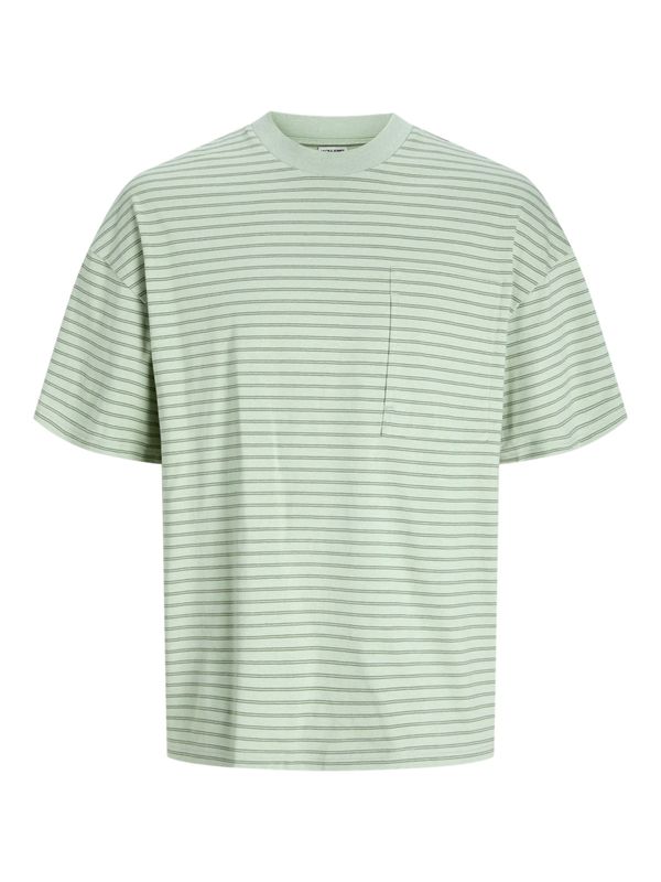 JACK & JONES JACK & JONES Majica 'JCOTanical'  pastelno zelena / črna