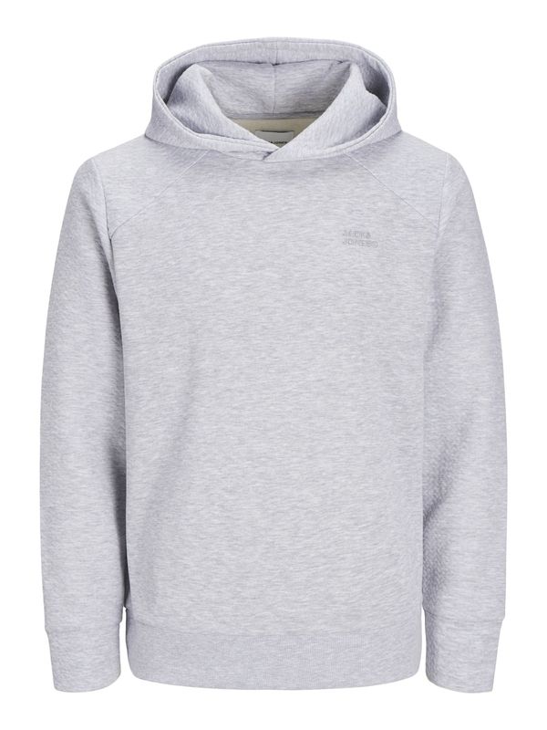 JACK & JONES JACK & JONES Majica 'JJESTAPLE'  pegasto siva