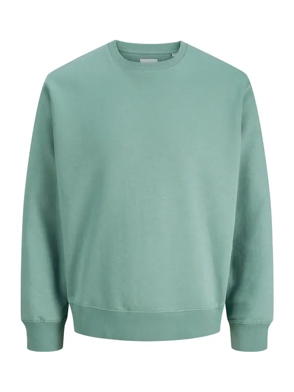 JACK & JONES JACK & JONES Majica 'JJEStar'  pastelno zelena