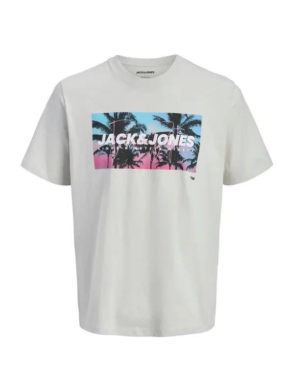 JACK & JONES JACK & JONES Majica 'JJINDIANA'  svetlo modra / svetlo siva / svetlo roza / črna