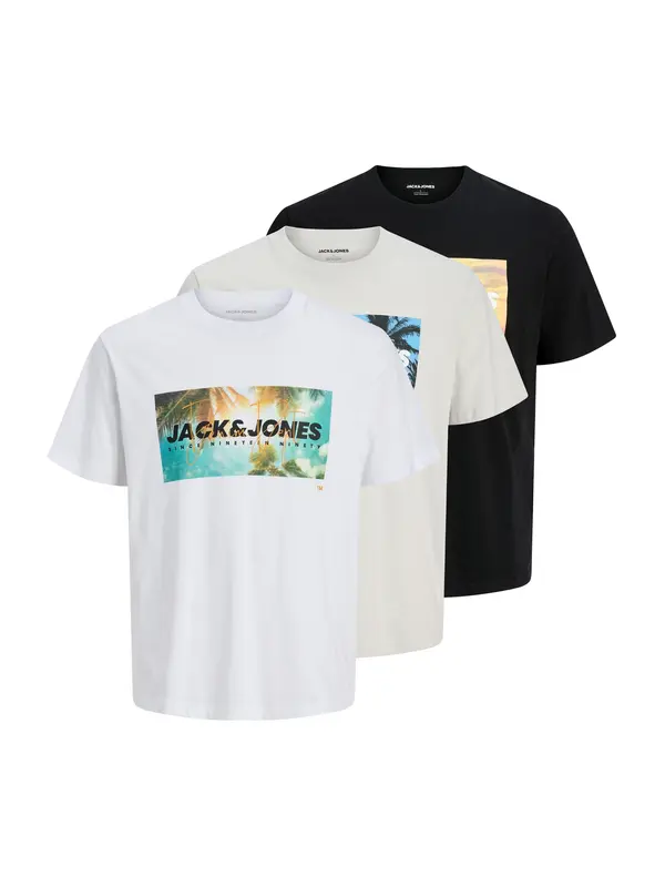 JACK & JONES JACK & JONES Majica 'JJINDIANA'  svetlo siva / črna / bela