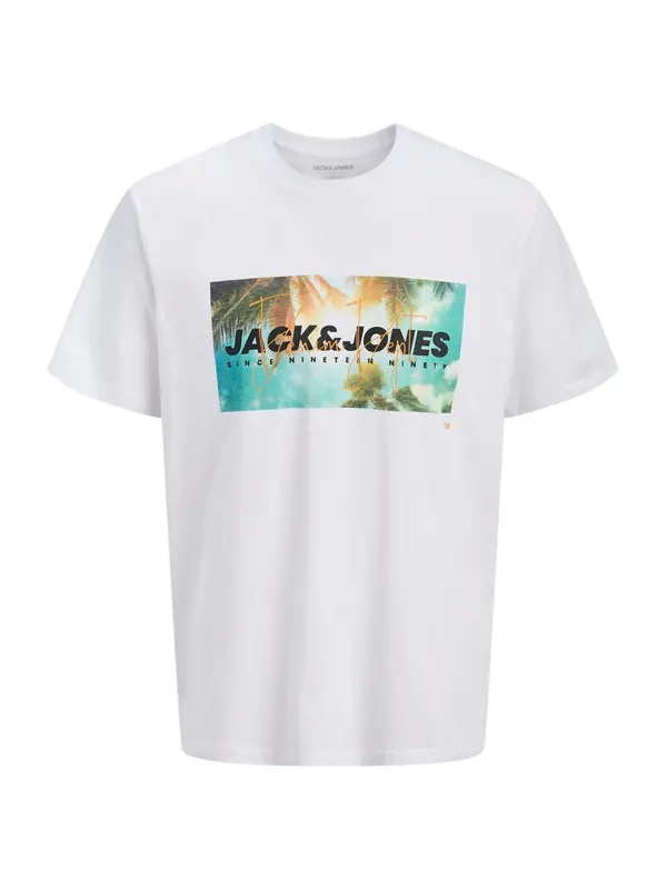 JACK & JONES JACK & JONES Majica 'JJINDIANA'  turkizna / oliva / črna / bela