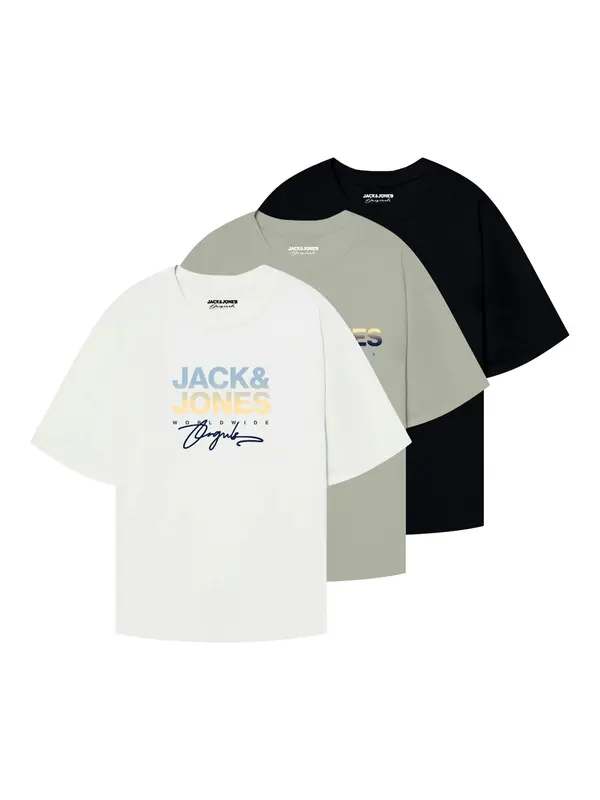 JACK & JONES JACK & JONES Majica 'JORCANGGU'  golobje modra / pastelno zelena / črna / bela