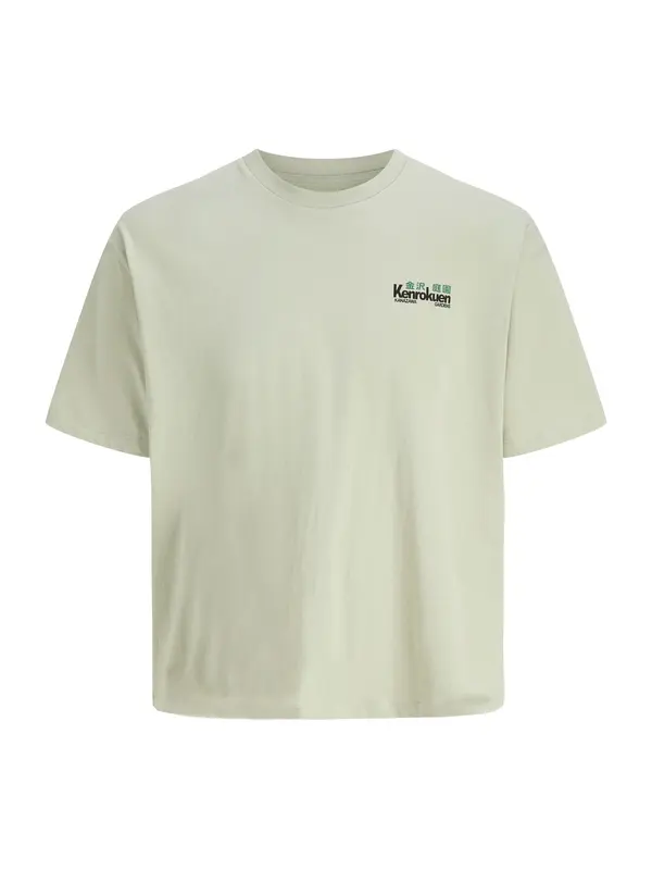 JACK & JONES JACK & JONES Majica 'JORKen'  zelena / pastelno zelena / črna / bela