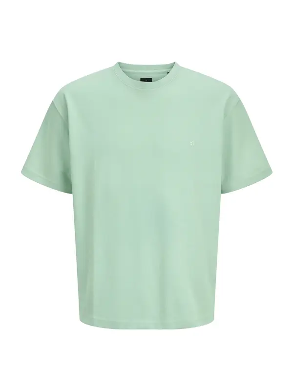 JACK & JONES JACK & JONES Majica 'JPRBLAEthan'  svetlo zelena