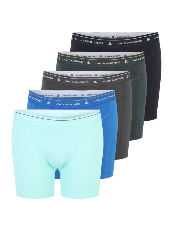 Jack & Jones Plus Jack & Jones Plus Boksarice 'JACRON'  azur / bazaltno siva / jelka / svetlo zelena / črna