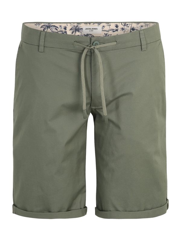 Jack & Jones Plus Jack & Jones Plus Chino hlače 'MARCO SUMMER'  jelka