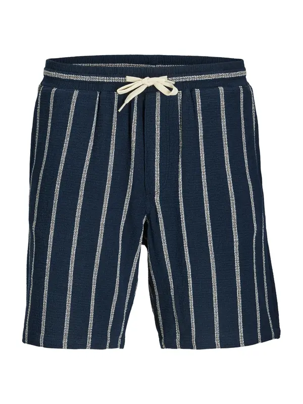Jack & Jones Plus Jack & Jones Plus Hlače 'JPSTAiden'  nočno modra / bela