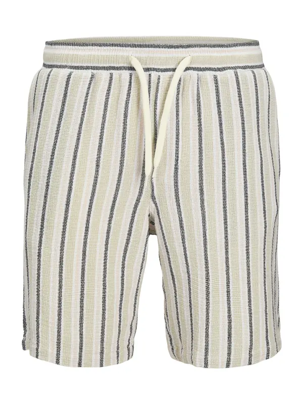 Jack & Jones Plus Jack & Jones Plus Hlače 'JPSTJAIDEN'  kremna / pastelno zelena / črna / bela