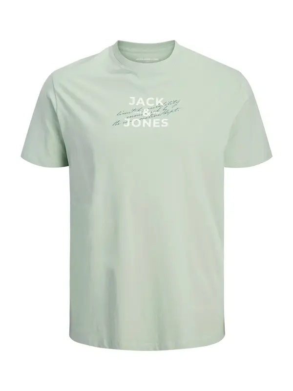 Jack & Jones Plus Jack & Jones Plus Majica 'JCOETERNA'  pastelno zelena / bela