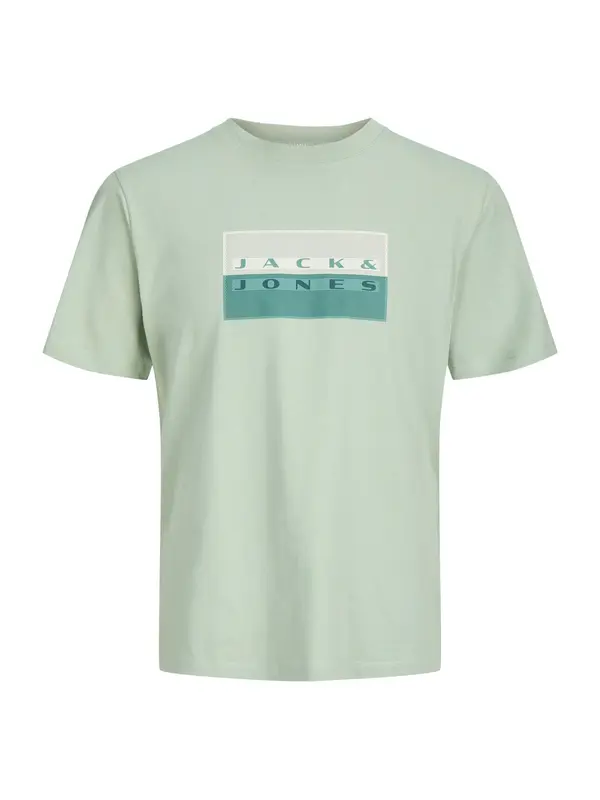 Jack & Jones Plus Jack & Jones Plus Majica 'JCOFUSION'  kremna / pastelno zelena / temno zelena