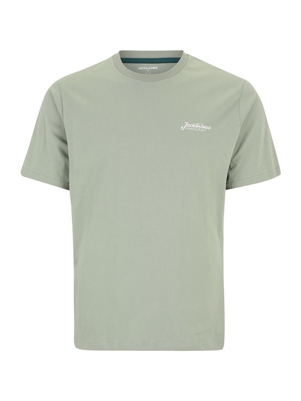 Jack & Jones Plus Jack & Jones Plus Majica 'JJBEAU'  pastelno zelena / bela
