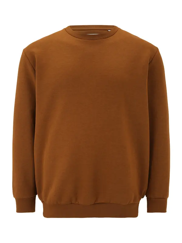 Jack & Jones Plus Jack & Jones Plus Majica 'JJEBradley'  rjava