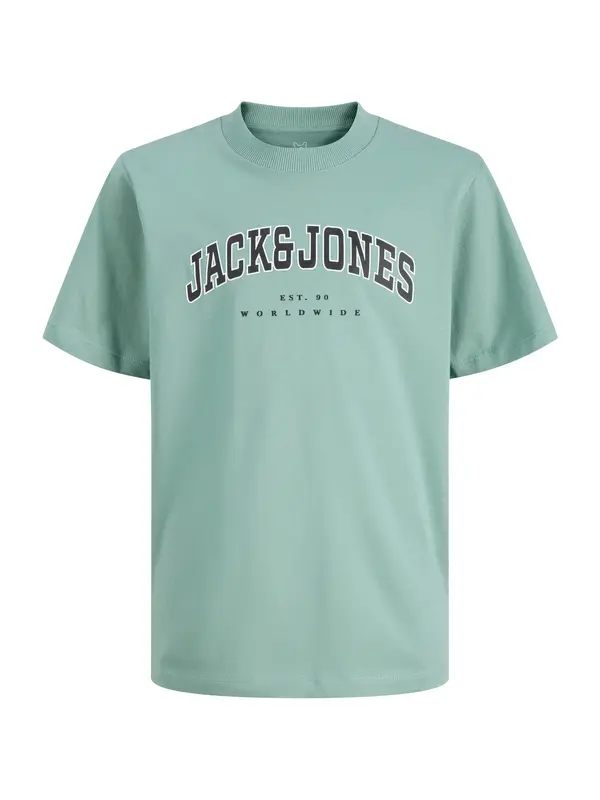 Jack & Jones Plus Jack & Jones Plus Majica 'JJECALEB'  svetlo zelena / črna / bela