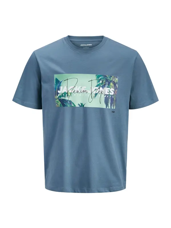 Jack & Jones Plus Jack & Jones Plus Majica 'JJIndiana'  marine / pastelno zelena / bela
